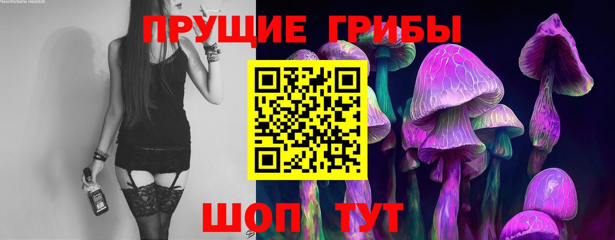 Галлюциногенные грибы Psilocybine cubensis  Вход с VPN  Галлюциногенные грибы GOLDEN TEACHER  Уссурийск 